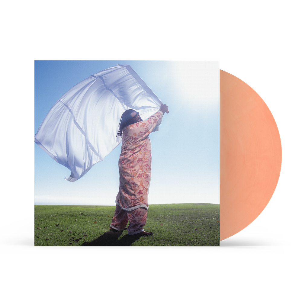 BR 500枚限定Elmiene-sounds for someoneレコード Elmiene - Sounds For Someone (Alternative Artwork Orange LP) by