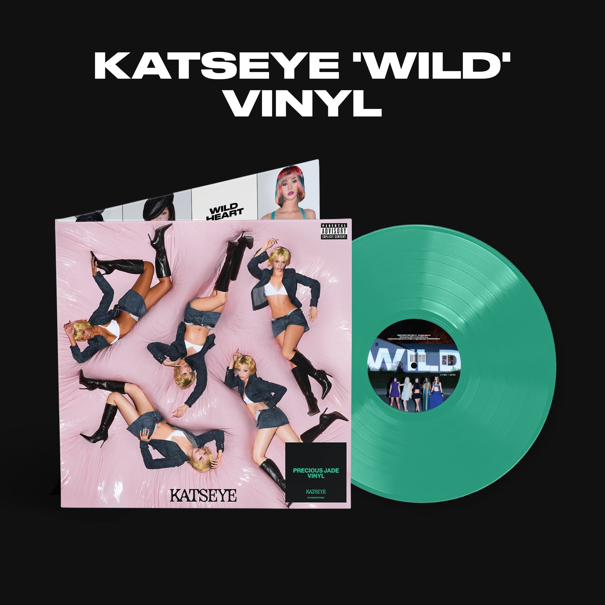 WILD (Standard LP) Packshot