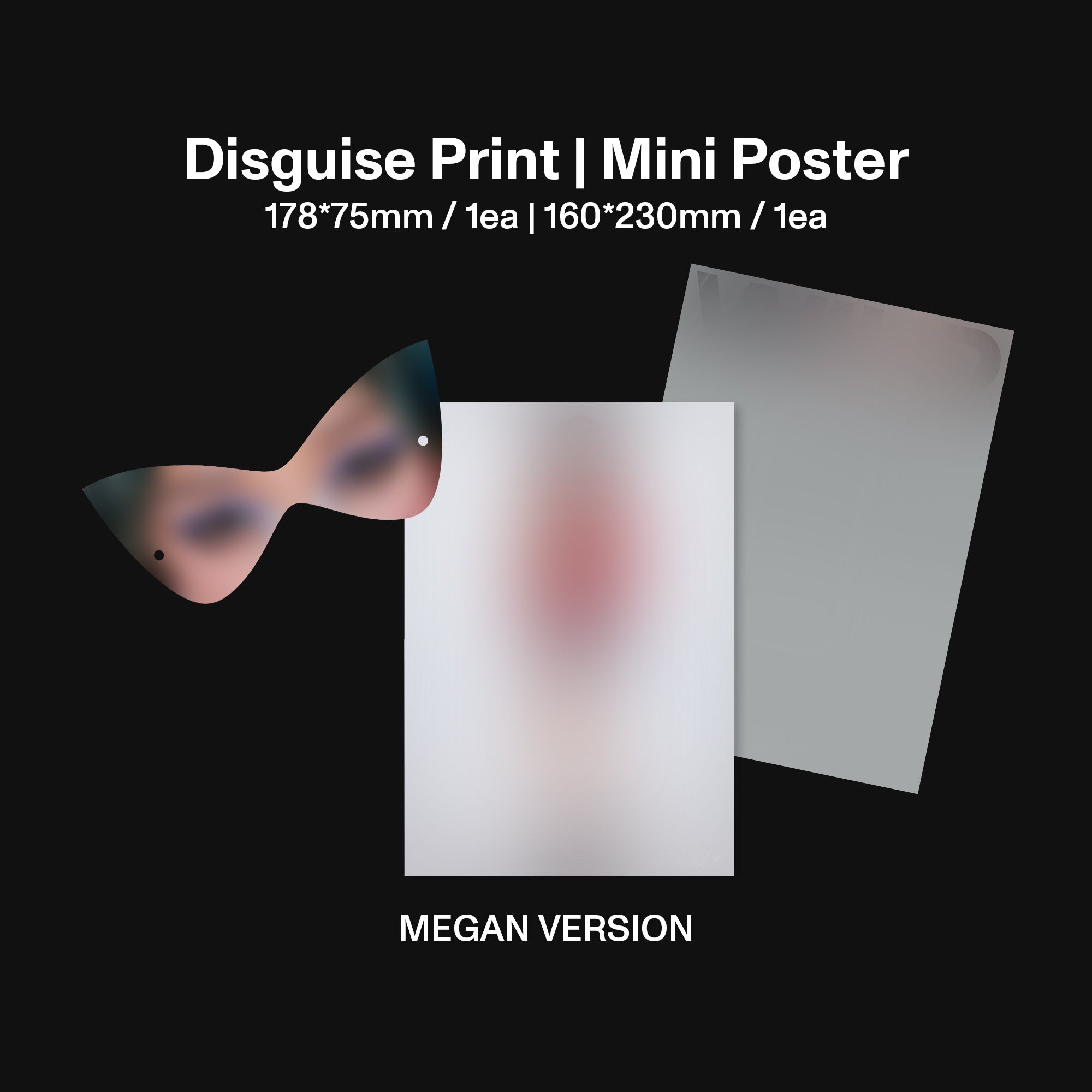 WILD (Megan Version CD) Disguise & Poster
