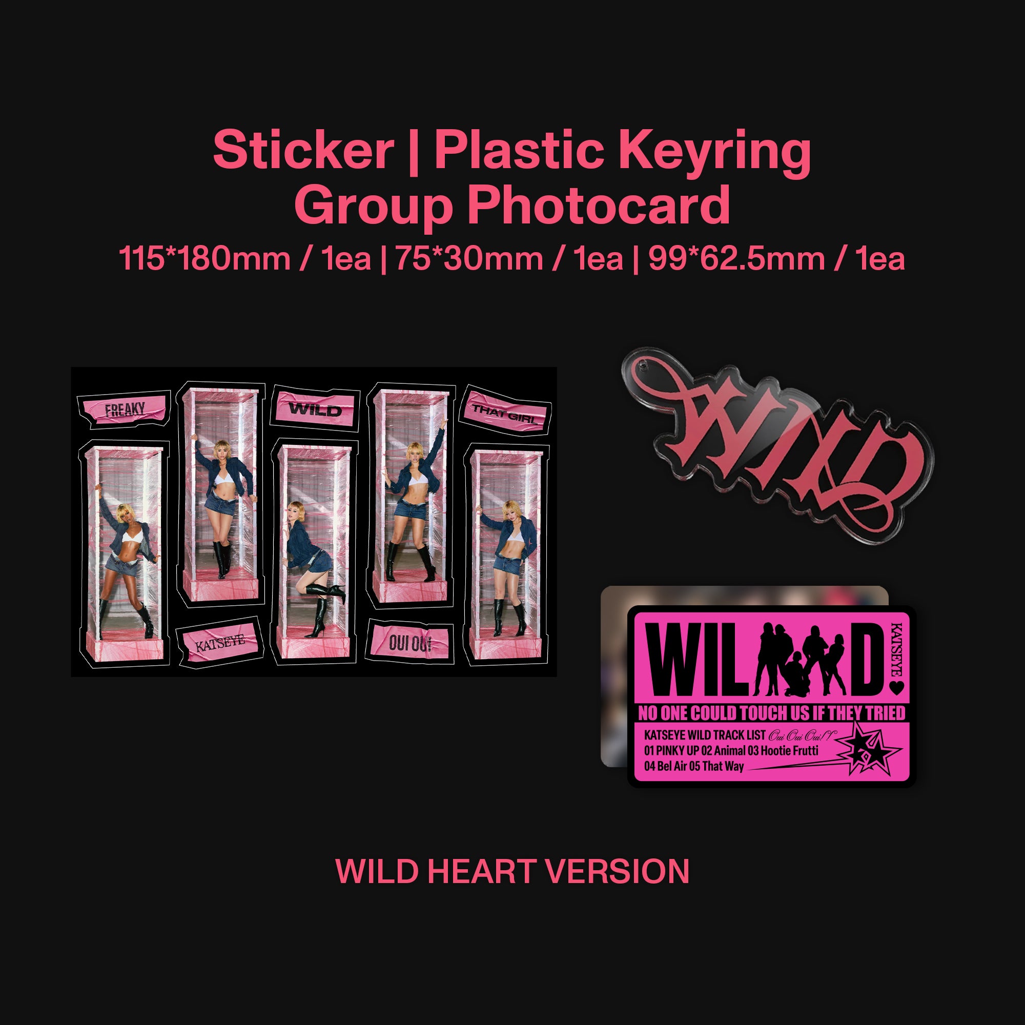 WILD (Wild Heart Version CD) Keyring & Group Photocard