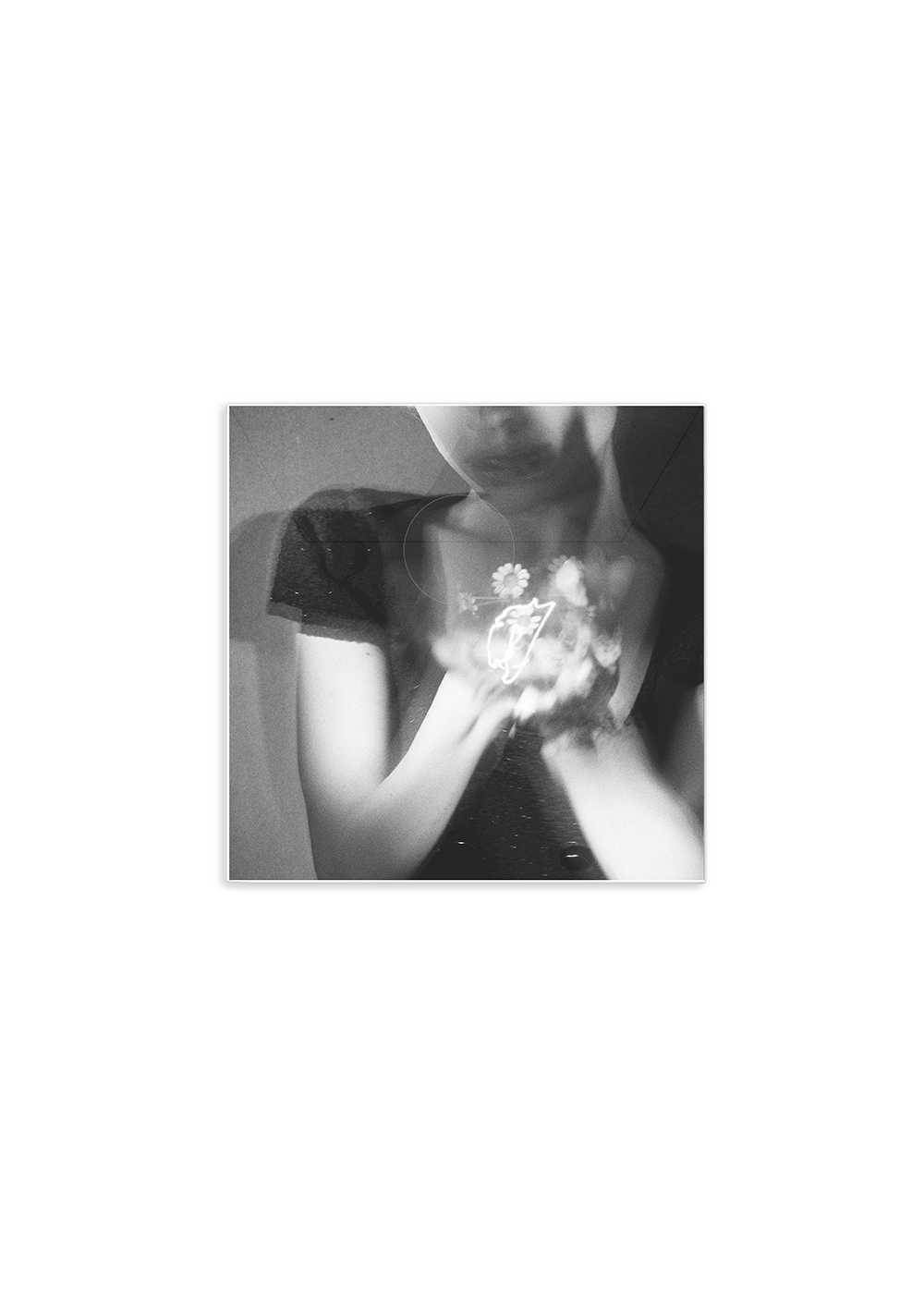 Petal (Exclusive Picture Disc LP) Back