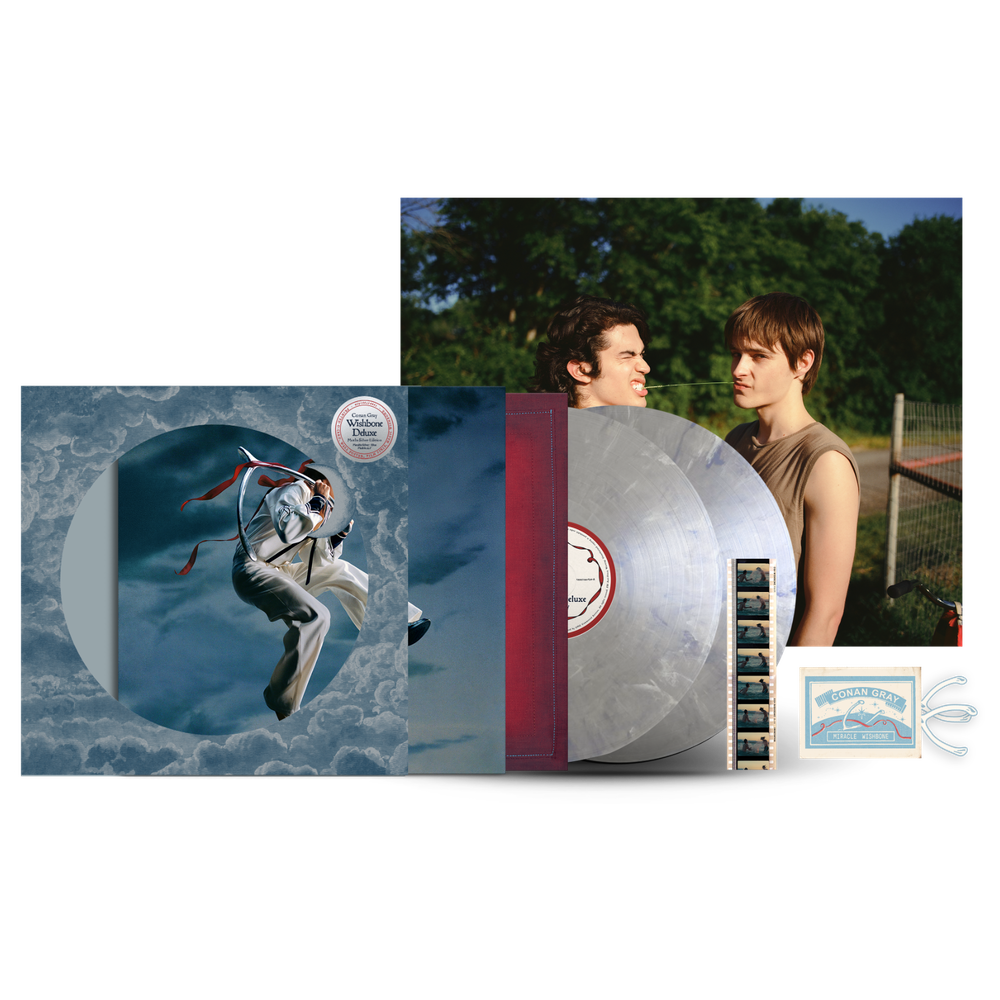 Wishbone Deluxe (Moths Silver Edition 2LP) Packshot