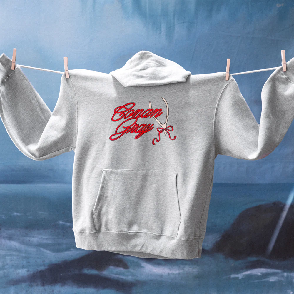 Conan Gray Ribbon Wishbone Hoodie