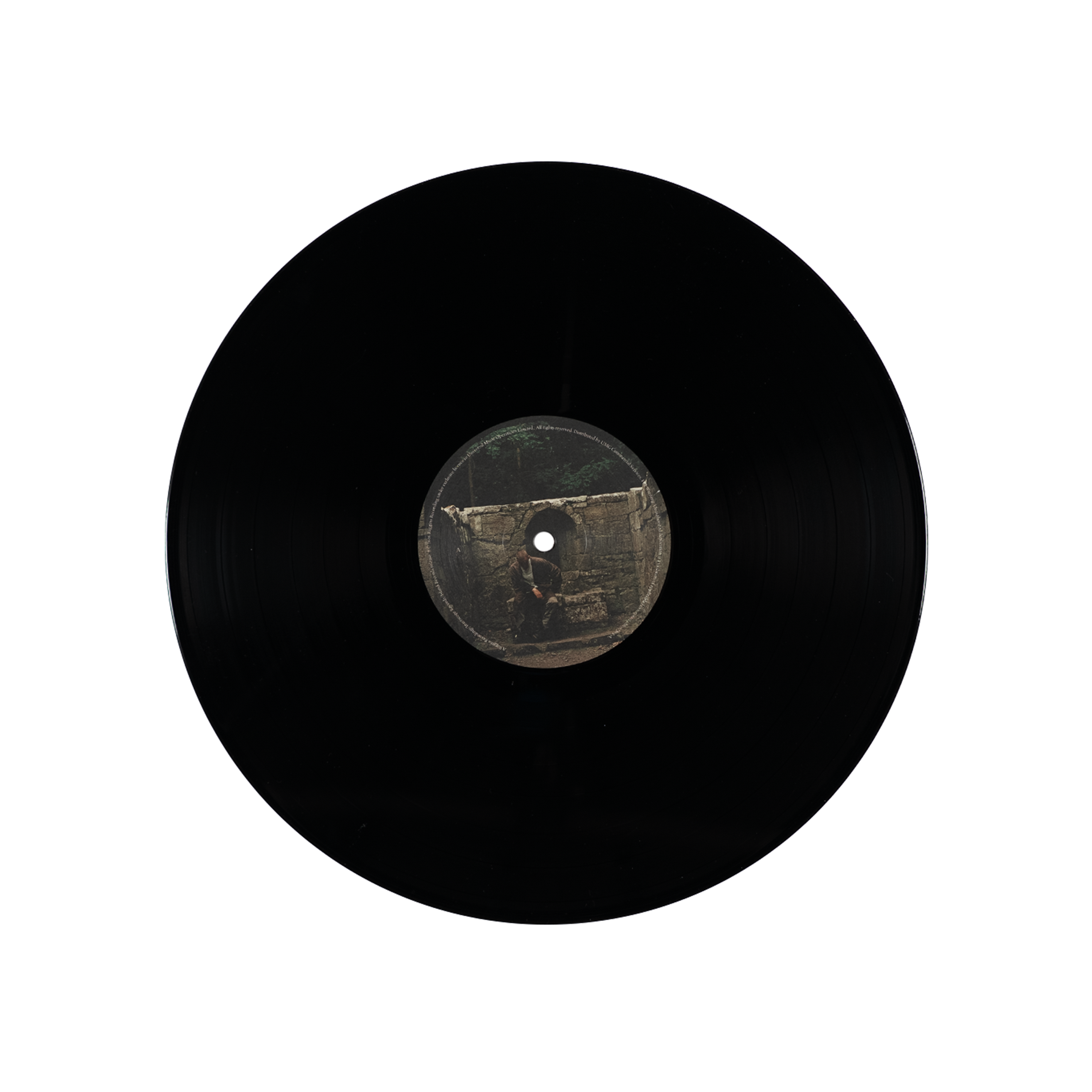 The Weight of the Woods (Recycled Black LP) disc