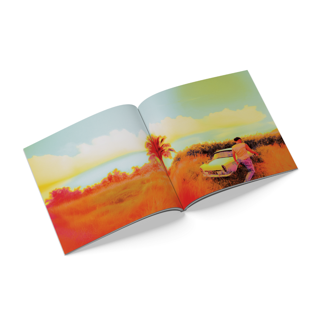 How Did I Get Here? (Alternate Cover CD) 3