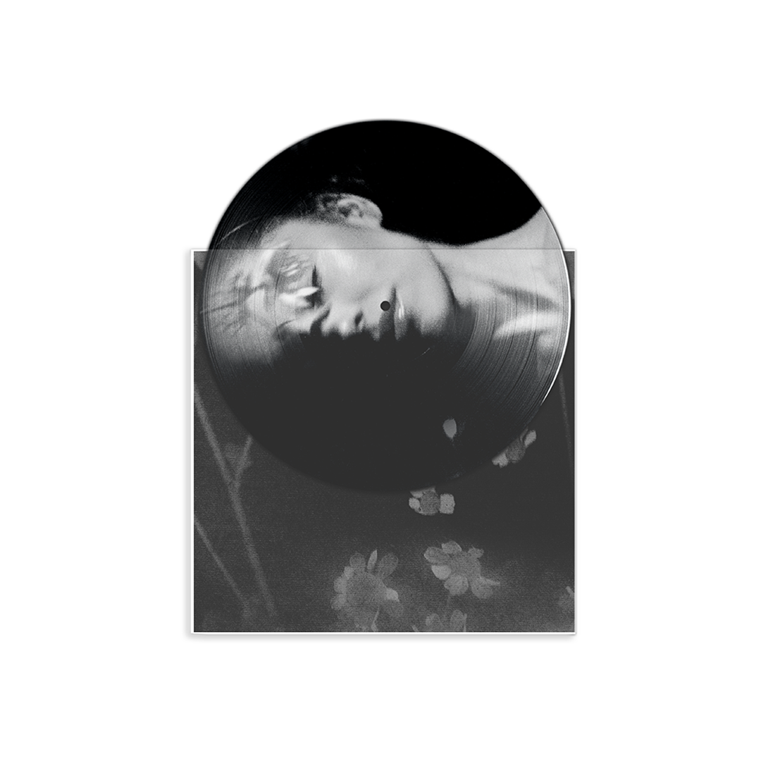 Petal (Exclusive Picture Disc LP) Detail