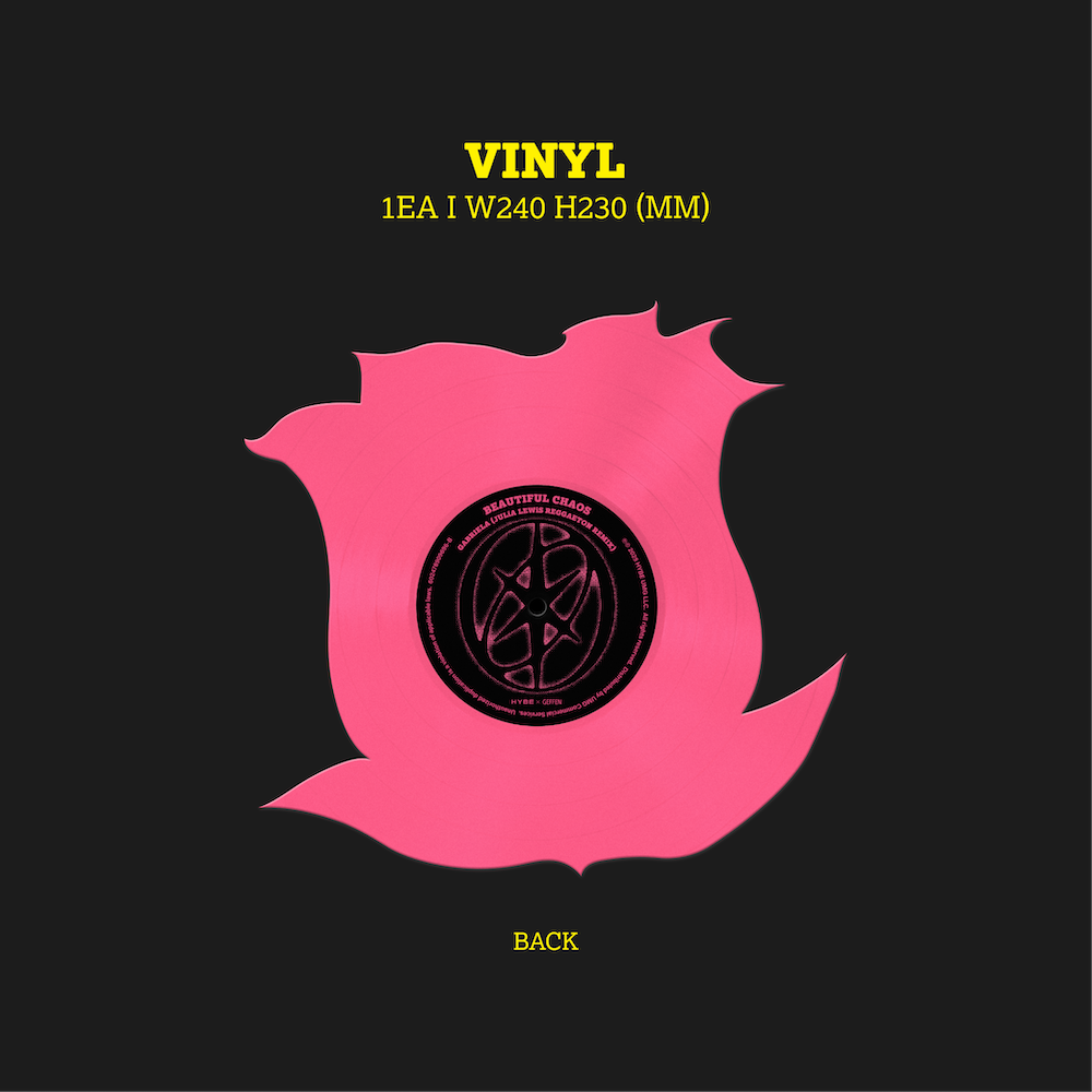 Gabriela Rose (Die-Cut 7" Vinyl) 4