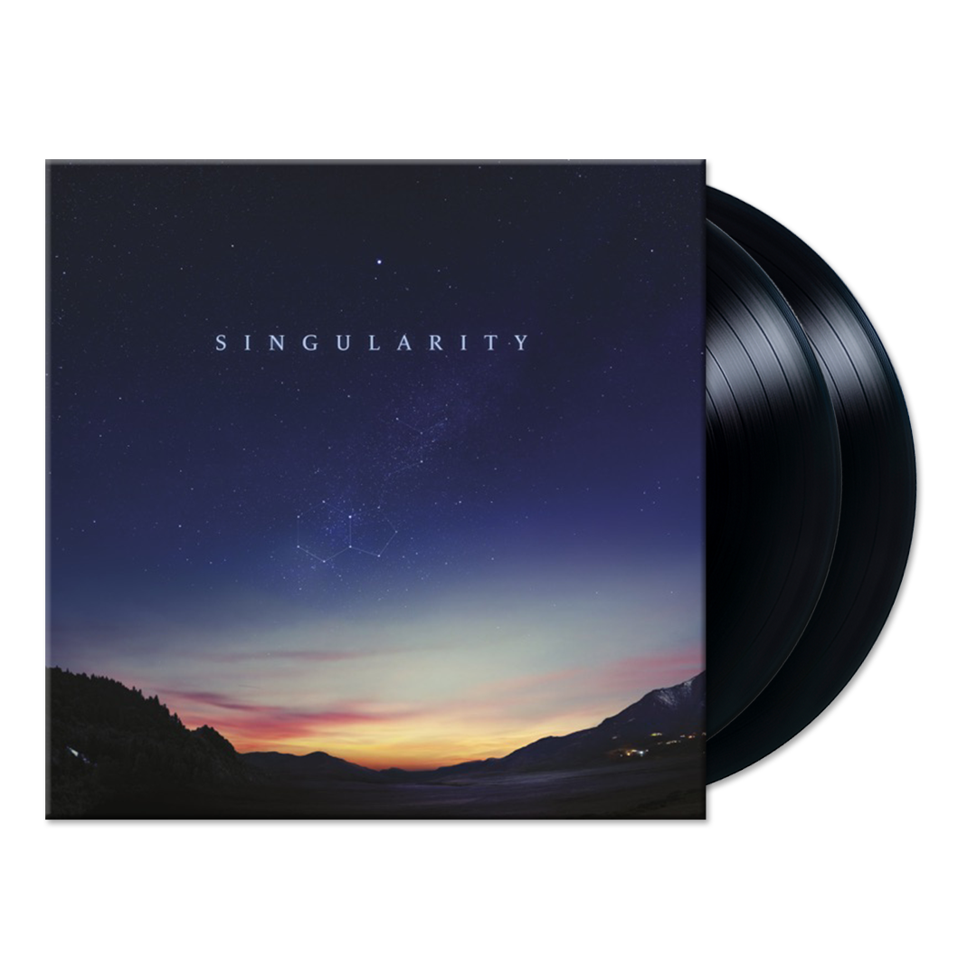 Singularity (2LP)