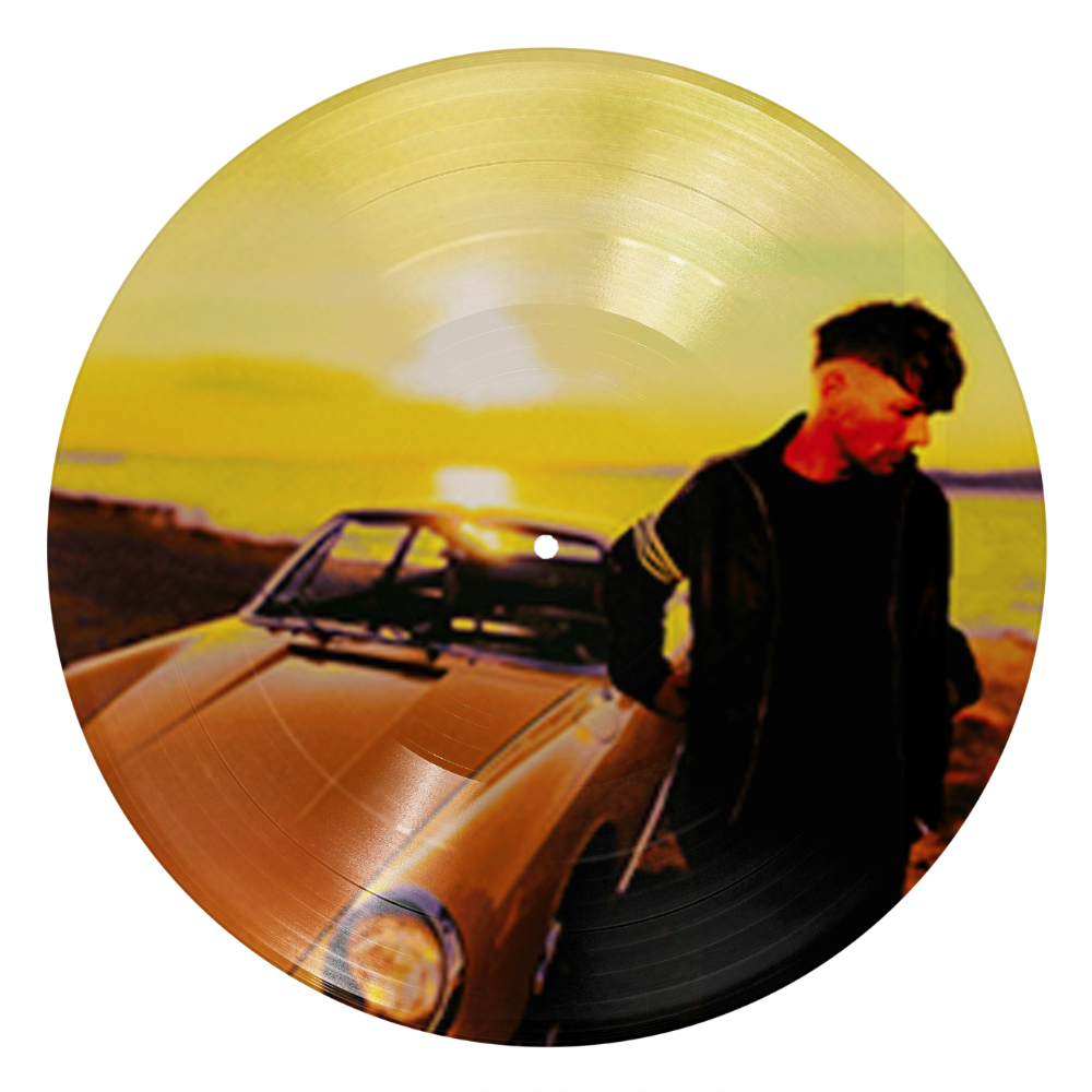 How Did I Get Here? (Picture Disc)