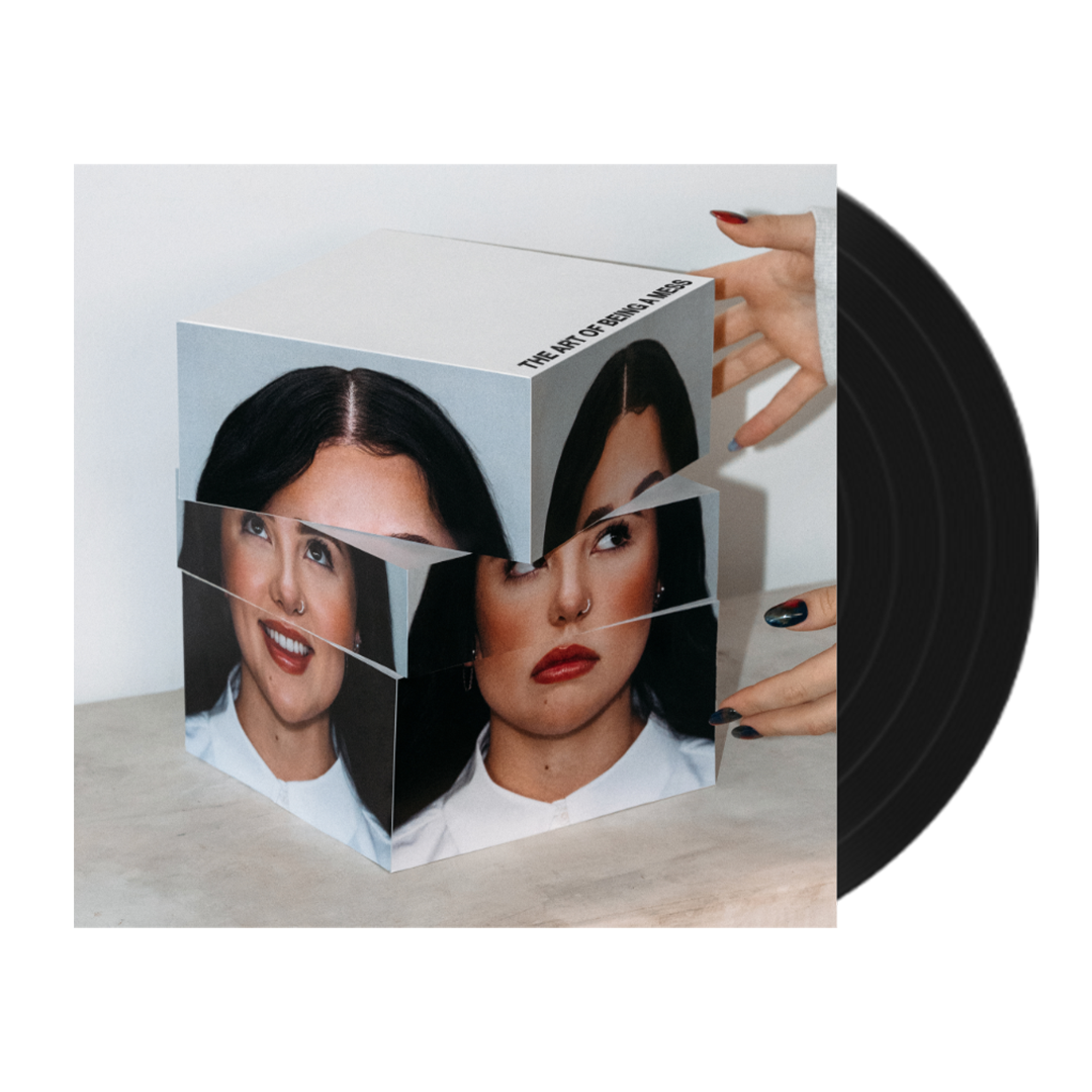 The Art of Being a Mess (LP)