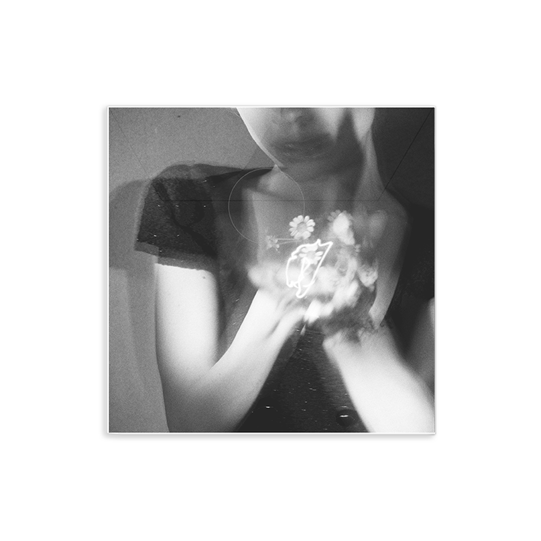 Petal (Exclusive Picture Disc LP) Back