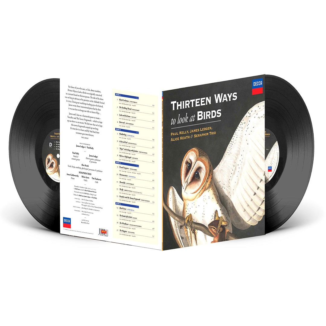 Thirteen Ways To Look At Birds (2LP)